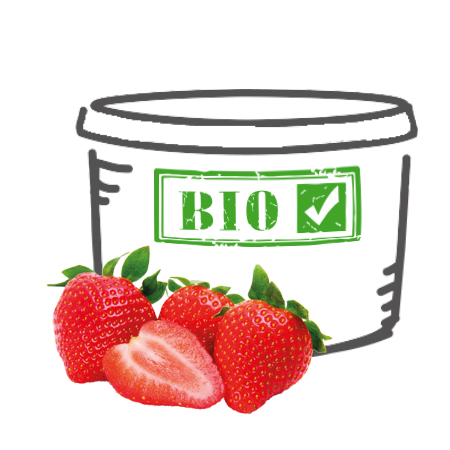Bio Erdbeer-Konfitüre extra, 3 kg